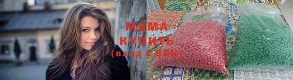 молекула духа Вяземский