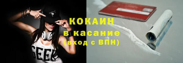 гашик Новозыбков