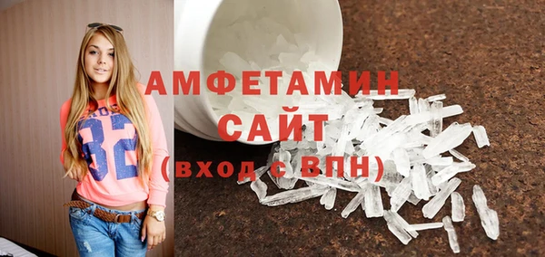гашик Новозыбков