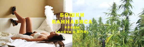 МДПВ Нея